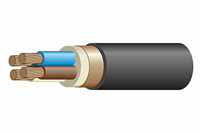 Кабель силовой ВВГЭнг(А)-LS 4x25 мк-1