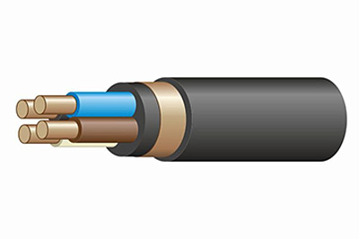 Кабель силовой ВВГЭнг(А)-LS 4x10 ок-1